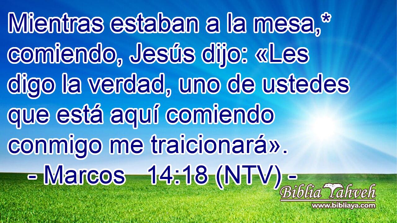 Mientras estaban a la mesa,* comiendo, Jesús dijo: «Les digo la verdad, uno de ustedes que está aquí comiendo conmigo me traicionará».