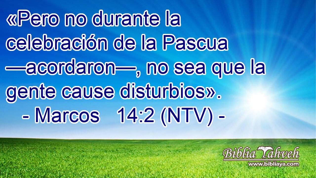 «Pero no durante la celebración de la Pascua —acordaron—, no sea que la gente cause disturbios».