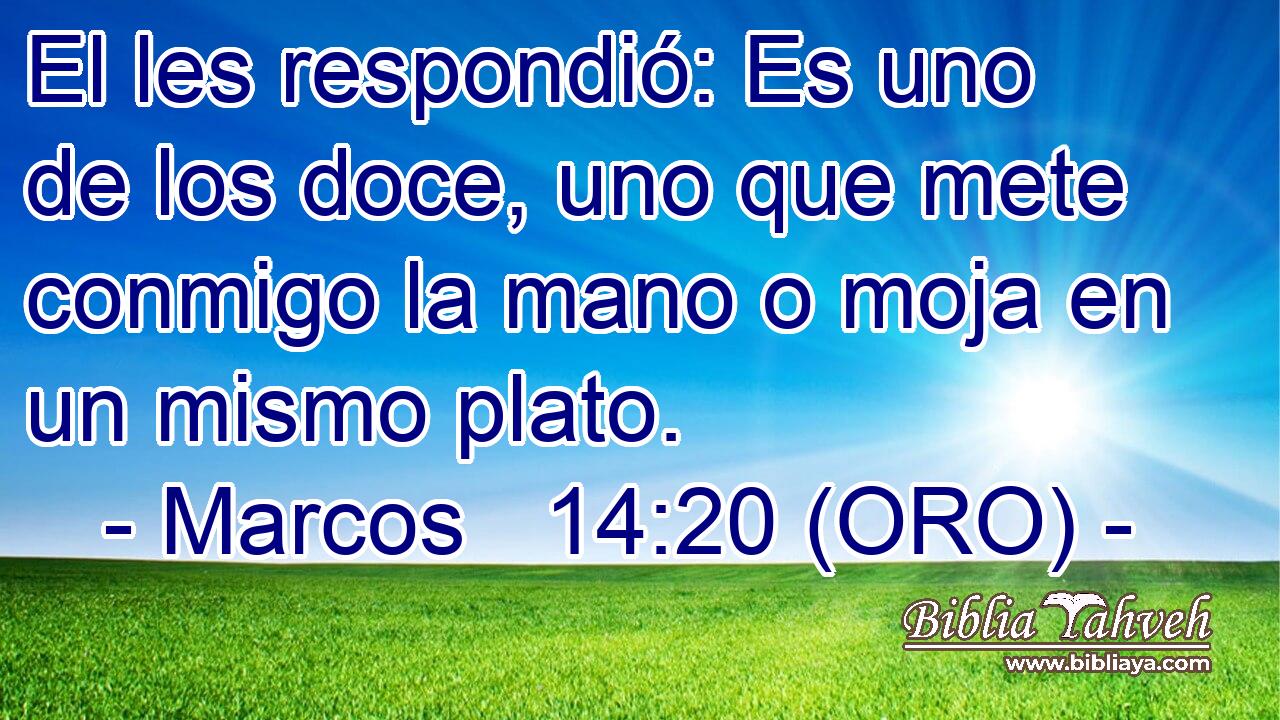  El les respondió: Es uno de los doce, uno que mete conmigo la mano o moja en un mismo plato. 