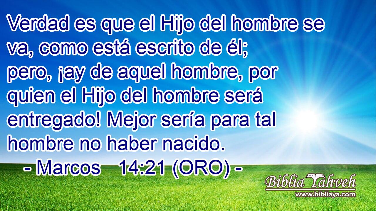  Verdad es que el Hijo del hombre se va, como está escrito de él; pero, ¡ay de aquel hombre, por quien el Hijo del hombre será entregado! Mejor sería para tal hombre no haber nacido. 