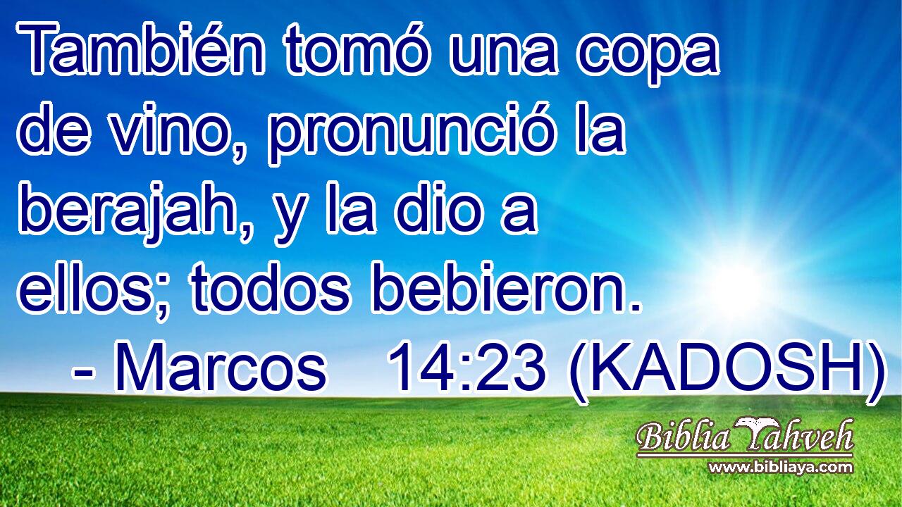  También tomó una copa de vino, pronunció la berajah, y la dio a ellos; todos bebieron. 