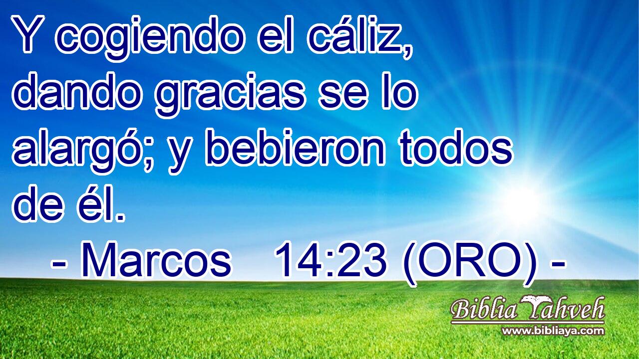  Y cogiendo el cáliz, dando gracias se lo alargó; y bebieron todos de él. 