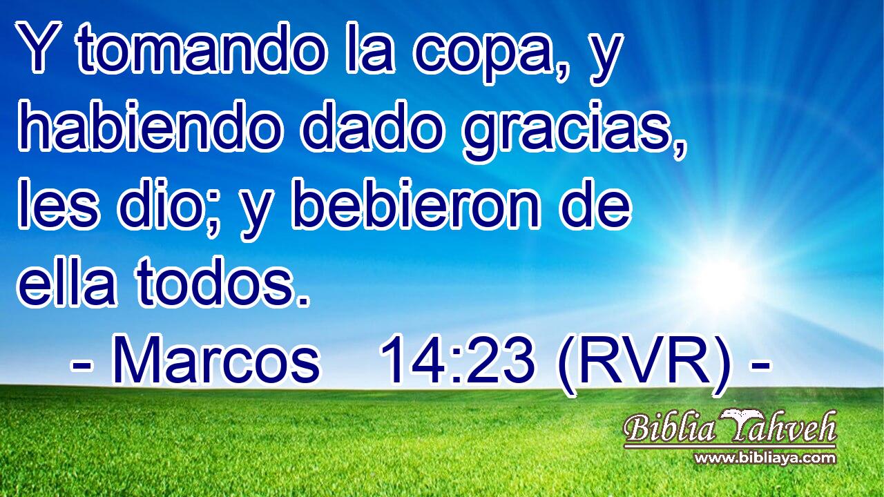 Y tomando la copa, y habiendo dado gracias, les dio; y bebieron de ella todos.
