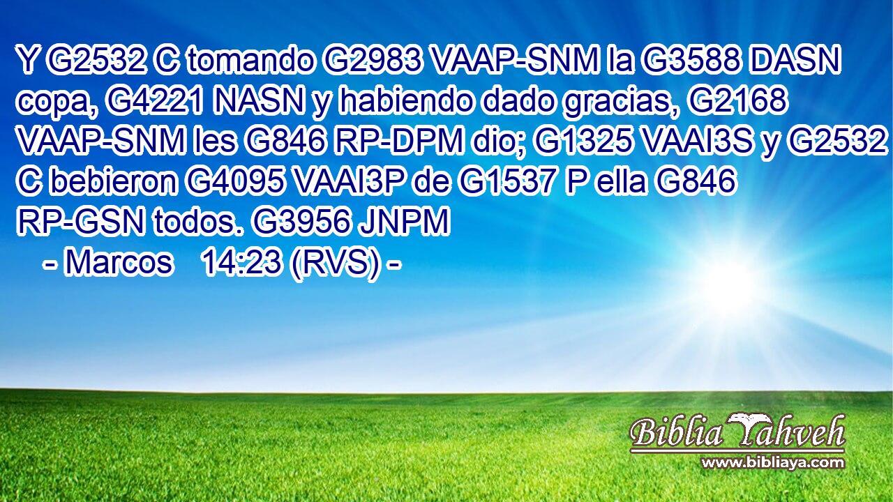 Y G2532 C tomando G2983 VAAP-SNM la G3588 DASN copa, G4221 NASN y habiendo dado gracias, G2168 VAAP-SNM les G846 RP-DPM dio; G1325 VAAI3S y G2532 C bebieron G4095 VAAI3P de G1537 P ella G846 RP-GSN todos. G3956 JNPM 