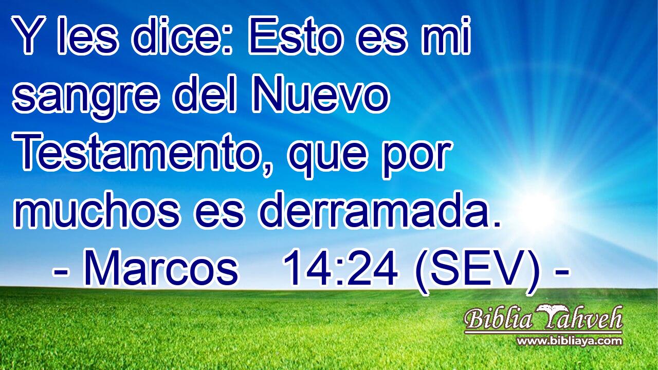 Y les dice: Esto es mi sangre del Nuevo Testamento, que por muchos es derramada.