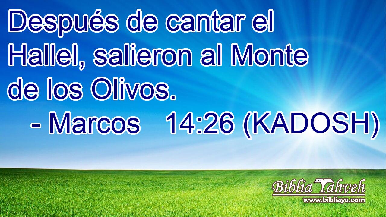  Después de cantar el Hallel, salieron al Monte de los Olivos. 