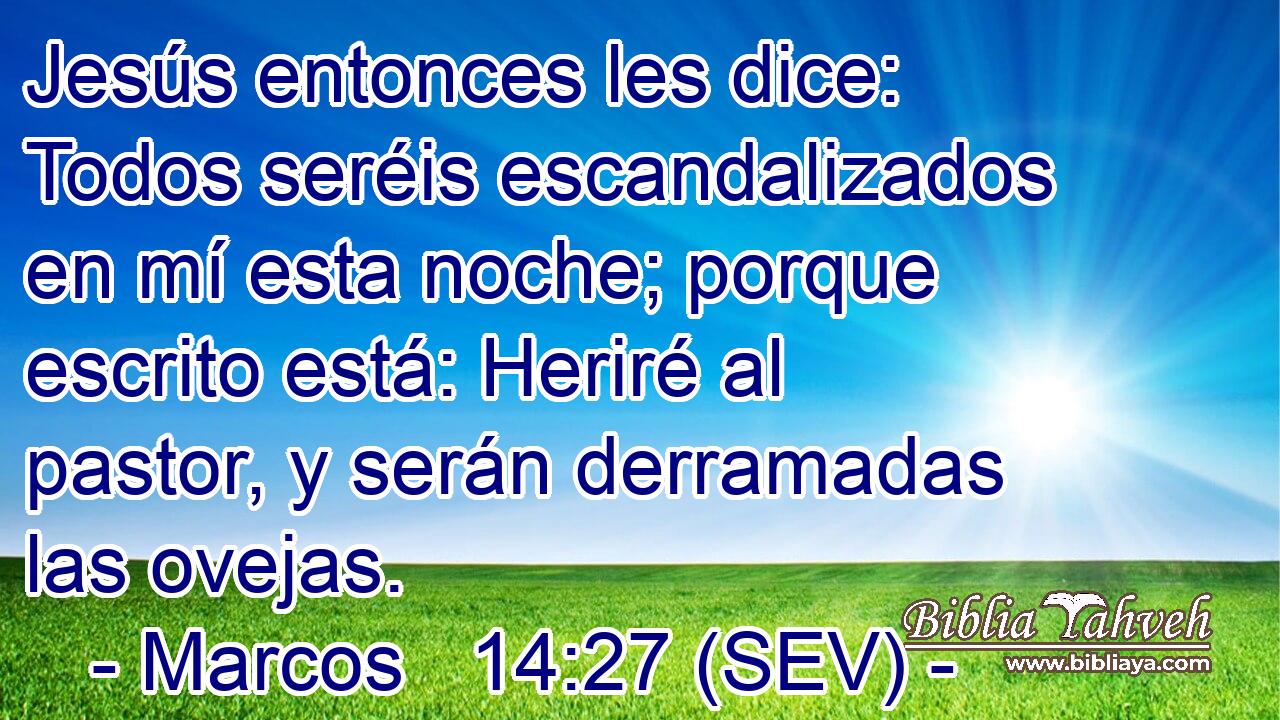 Jesús entonces les dice: Todos seréis escandalizados en mí esta noche; porque escrito está: Heriré al pastor, y serán derramadas las ovejas.