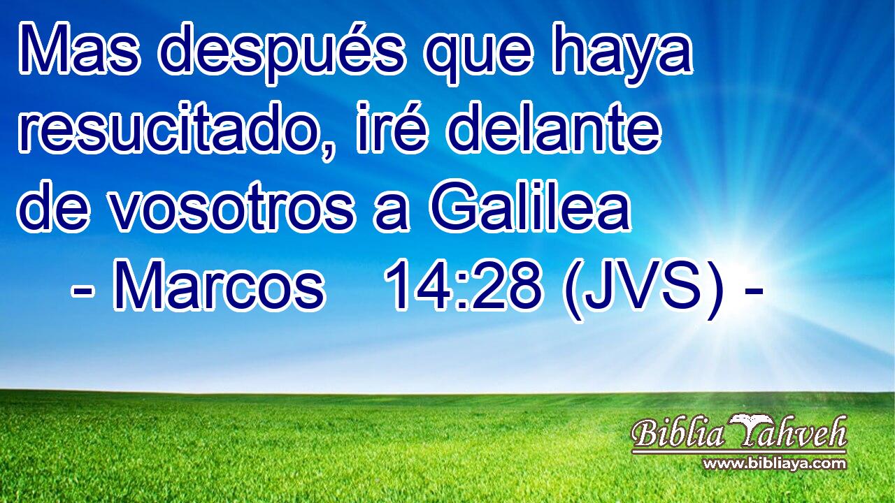 Mas después que haya resucitado, iré delante de vosotros a Galilea