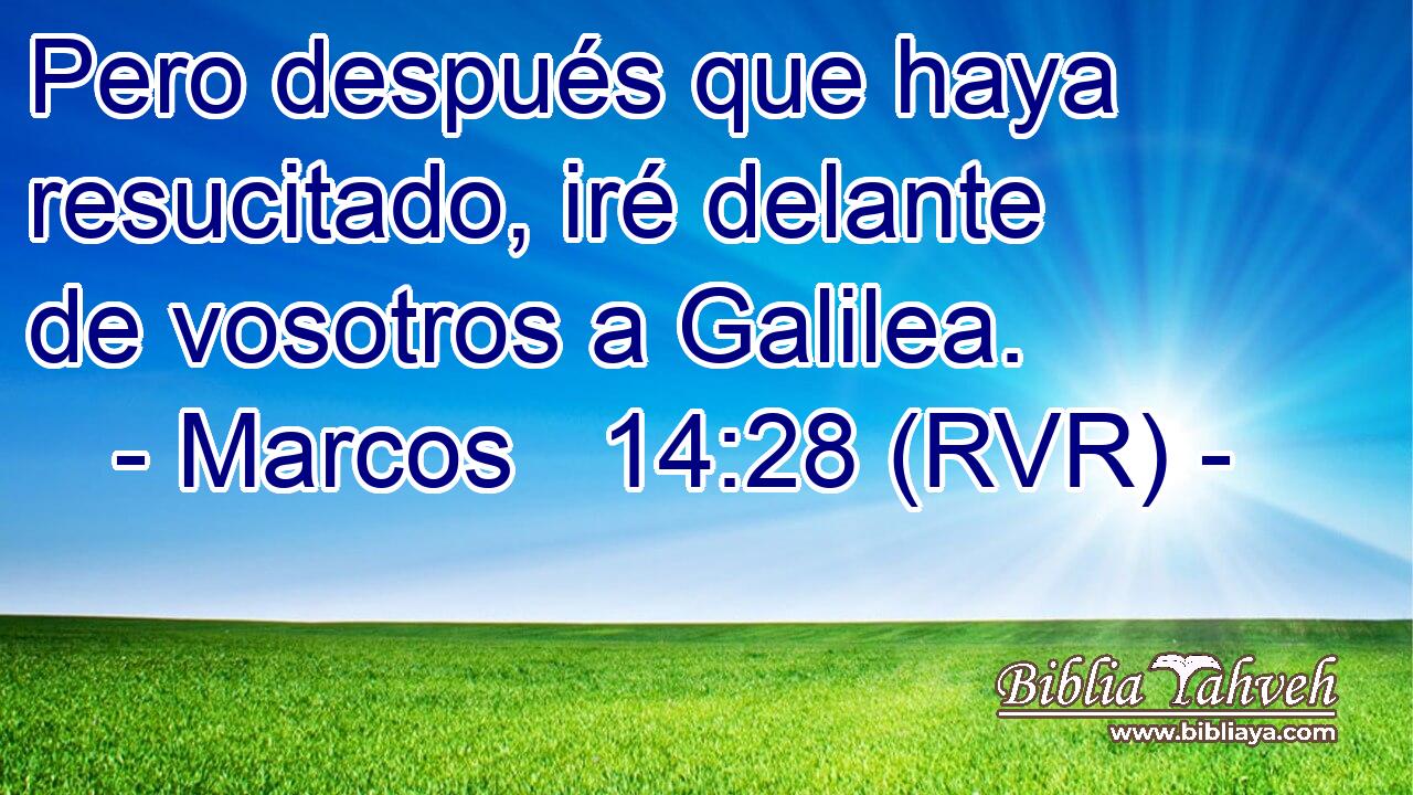Pero después que haya resucitado, iré delante de vosotros a Galilea.