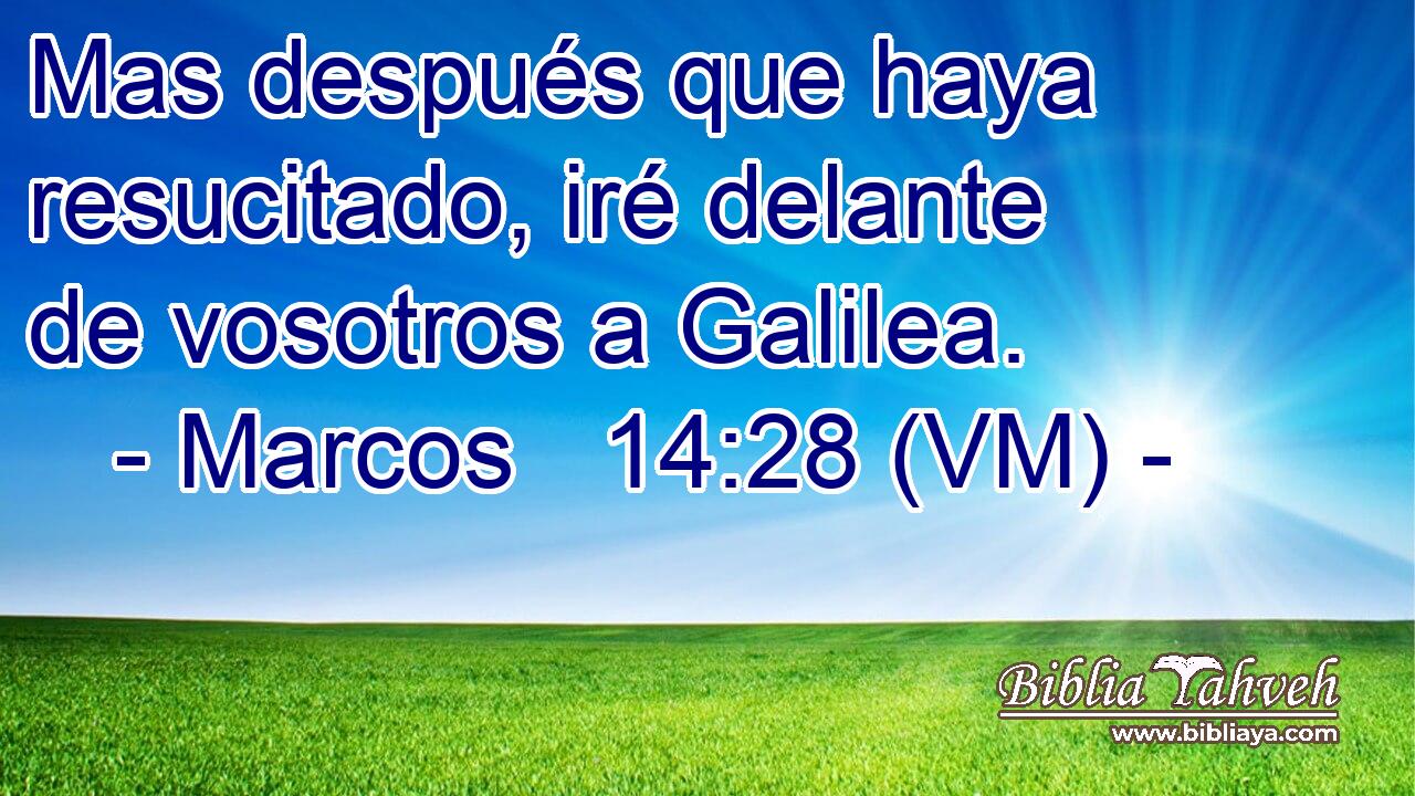 Mas después que haya resucitado, iré delante de vosotros a Galilea. 
