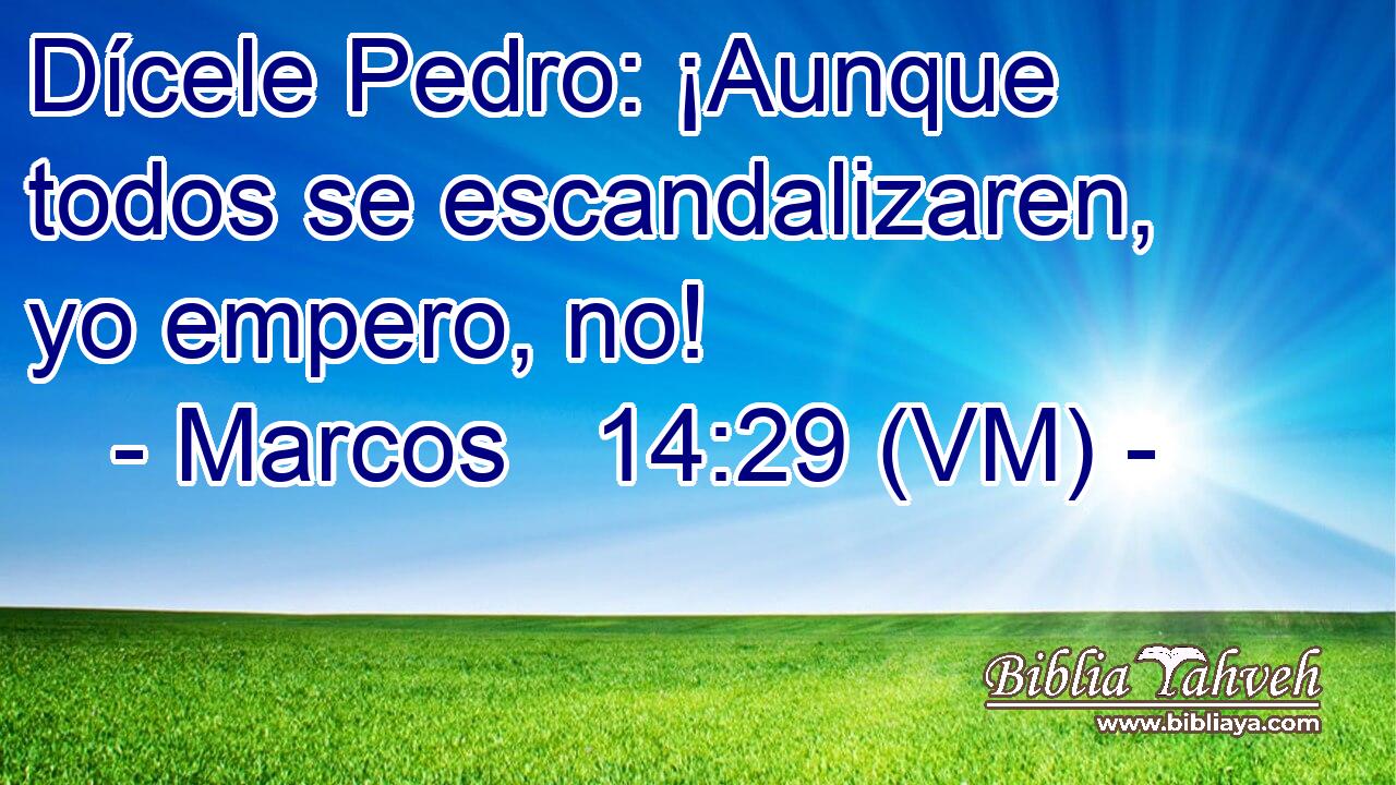  Dícele Pedro: ¡Aunque todos se escandalizaren, yo empero, no! 