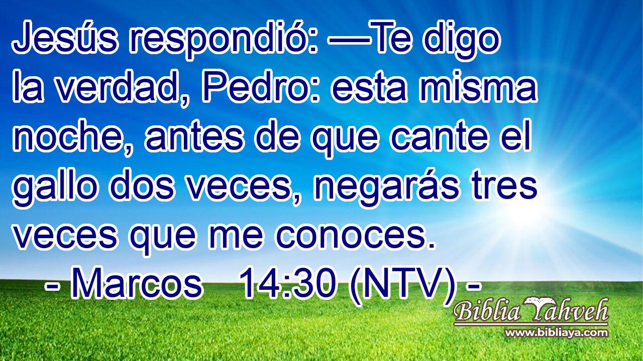 Jesús respondió: —Te digo la verdad, Pedro: esta misma noche, antes de que cante el gallo dos veces, negarás tres veces que me conoces.