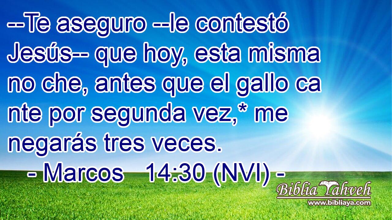  --Te aseguro --le contestó Jesús-- que hoy, esta misma no che, antes que el gallo ca nte por segunda vez,* me negarás tres veces. 