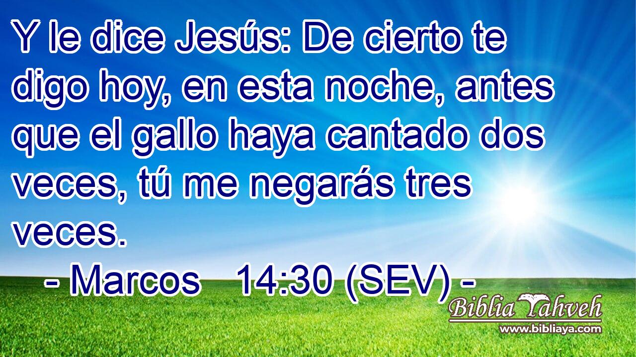 Y le dice Jesús: De cierto te digo hoy, en esta noche, antes que el gallo haya cantado dos veces, tú me negarás tres veces.