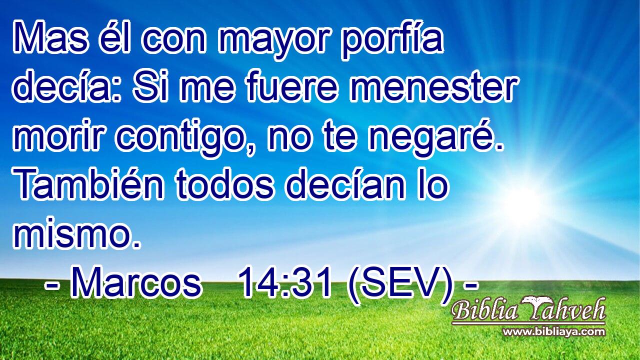 Mas él con mayor porfía decía: Si me fuere menester morir contigo, no te negaré. También todos decían lo mismo.