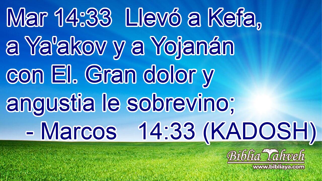  Llevó a Kefa, a Ya'akov y a Yojanán con El. Gran dolor y angustia le sobrevino; 