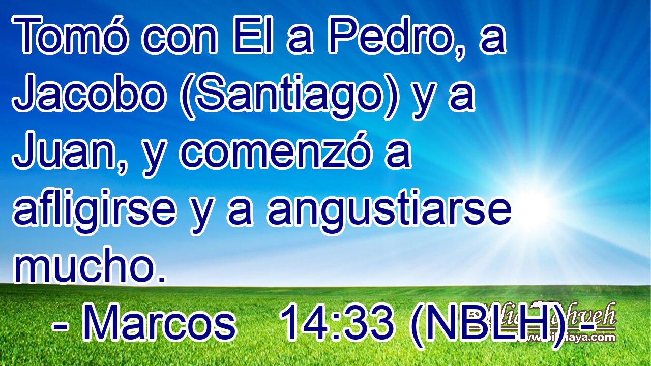  Tomó con El a Pedro, a Jacobo (Santiago) y a Juan, y comenzó a afligirse y a angustiarse mucho. 