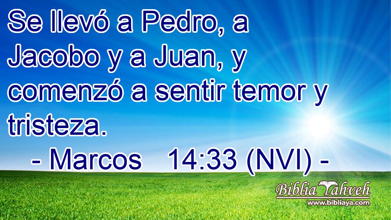  Se llevó a Pedro, a Jacobo y a Juan, y comenzó a sentir temor y tristeza. 