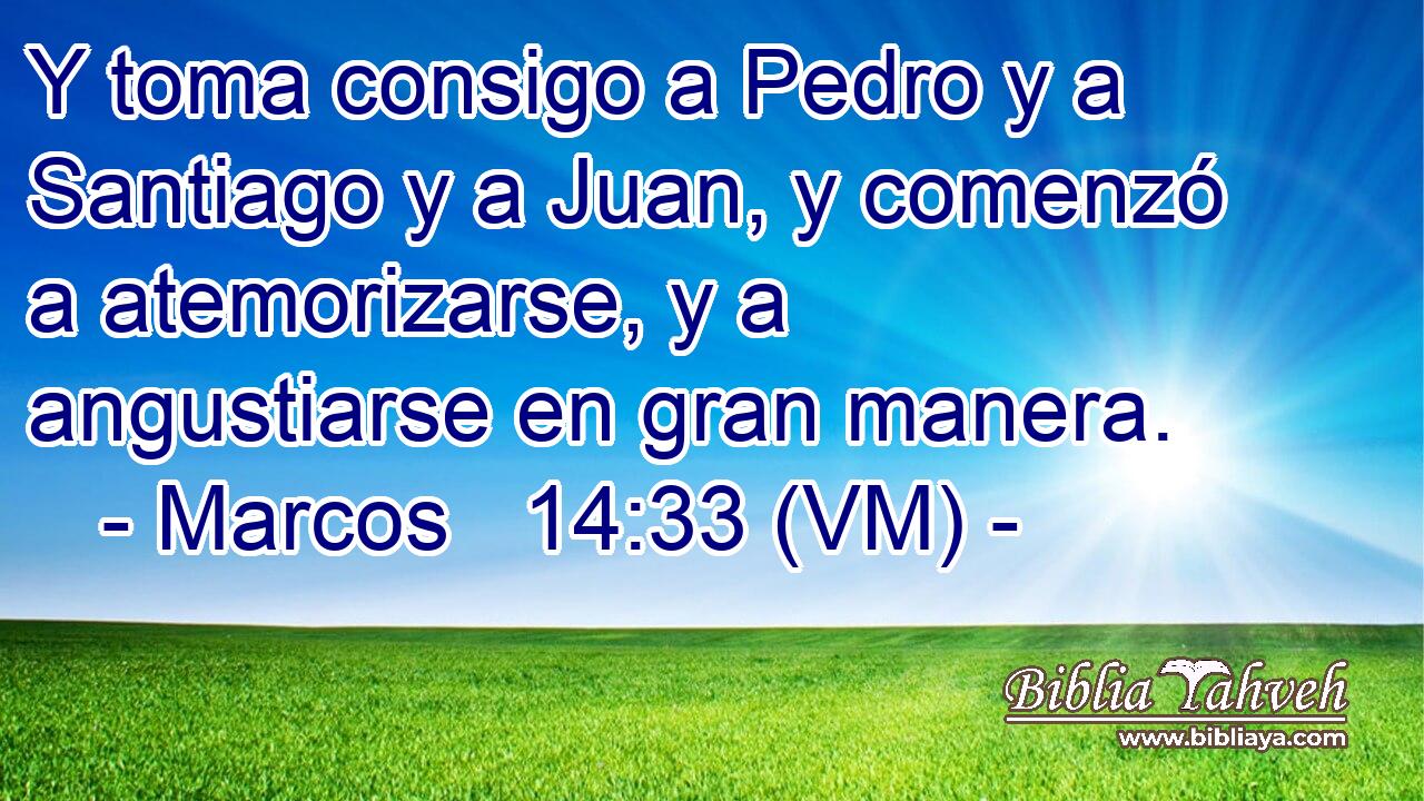  Y toma consigo a Pedro y a Santiago y a Juan, y comenzó a atemorizarse, y a angustiarse en gran manera. 