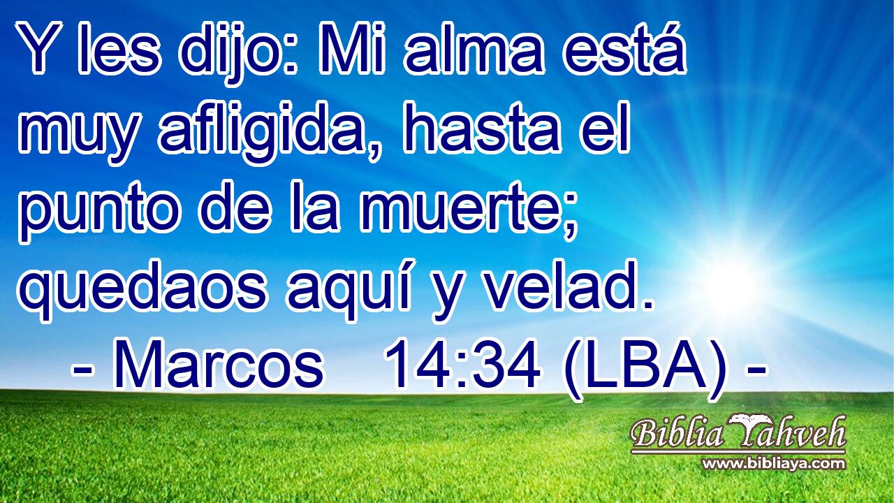 Y les dijo: Mi alma está muy afligida, hasta el punto de la muerte; quedaos aquí y velad.