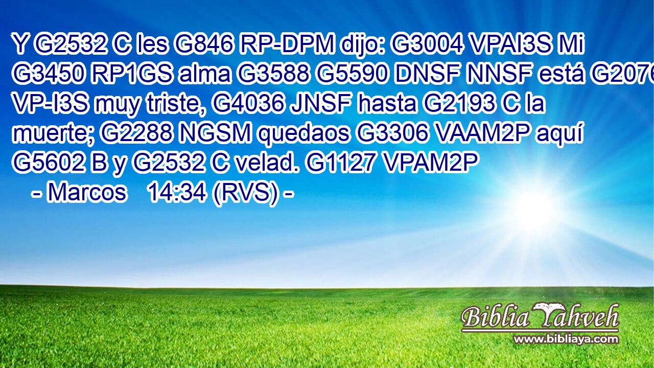 Y G2532 C les G846 RP-DPM dijo: G3004 VPAI3S Mi G3450 RP1GS alma G3588 G5590 DNSF NNSF está G2076 VP-I3S muy triste, G4036 JNSF hasta G2193 C la muerte; G2288 NGSM quedaos G3306 VAAM2P aquí G5602 B y G2532 C velad. G1127 VPAM2P 