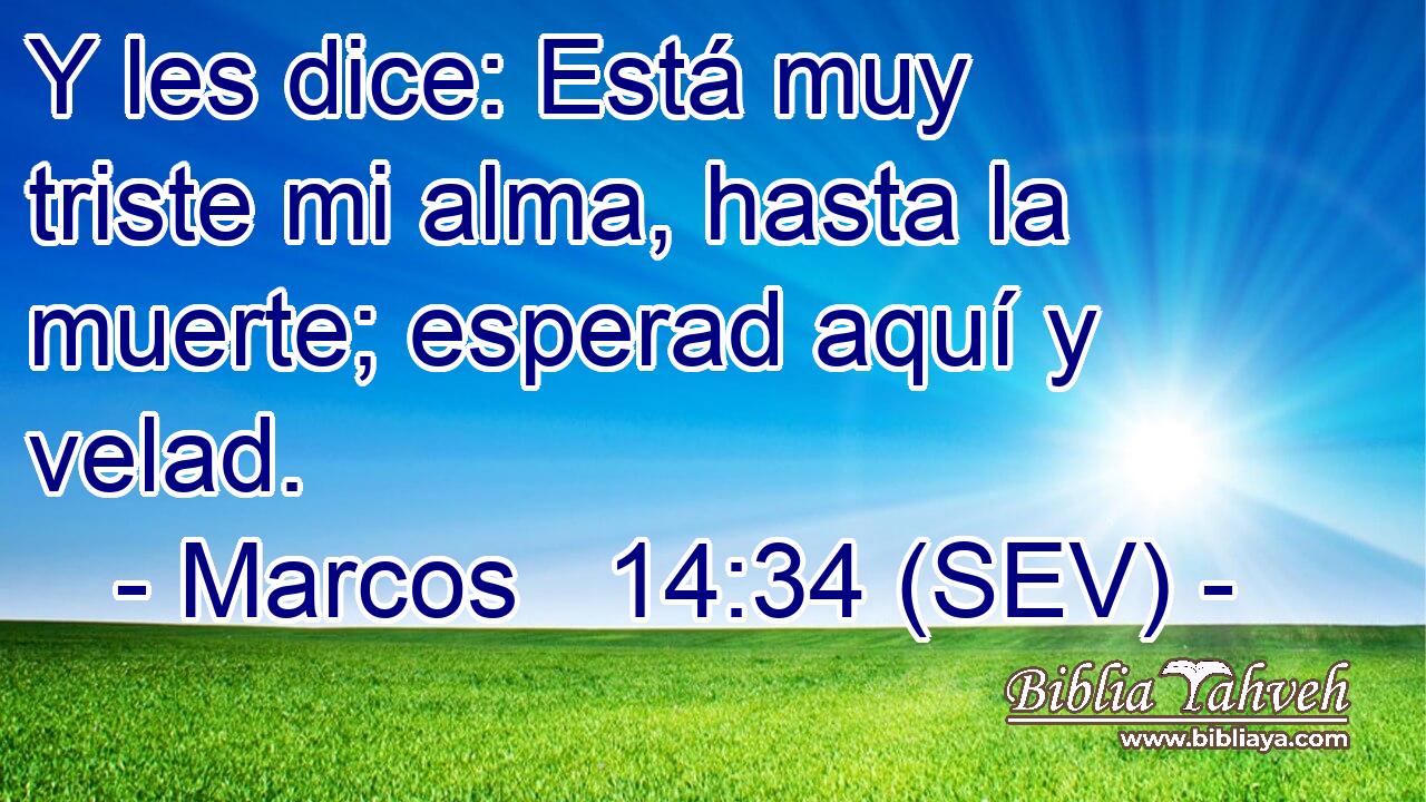 Y les dice: Está muy triste mi alma, hasta la muerte; esperad aquí y velad.