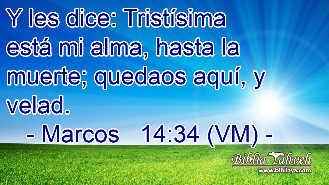  Y les dice: Tristísima está mi alma, hasta la muerte; quedaos aquí, y velad. 