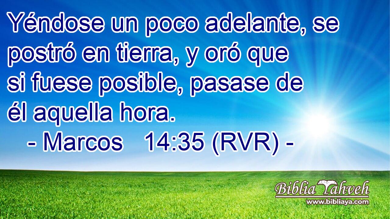 Yéndose un poco adelante, se postró en tierra, y oró que si fuese posible, pasase de él aquella hora.