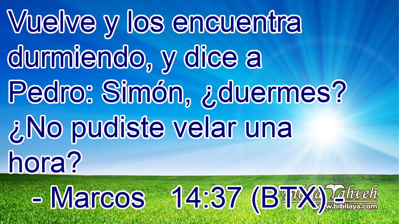 Vuelve y los encuentra durmiendo, y dice a Pedro: Simón, ¿duermes? ¿No pudiste velar una hora?