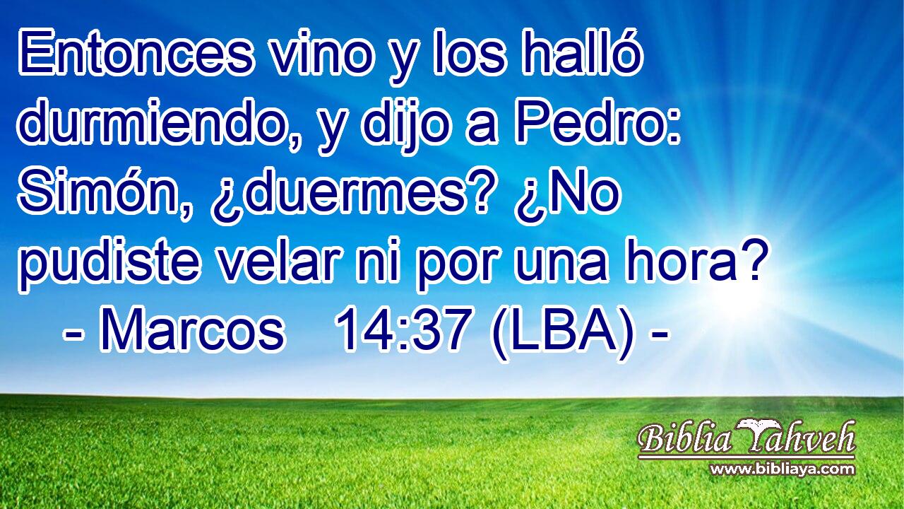 Entonces vino y los halló durmiendo, y dijo a Pedro: Simón, ¿duermes? ¿No pudiste velar ni por una hora?