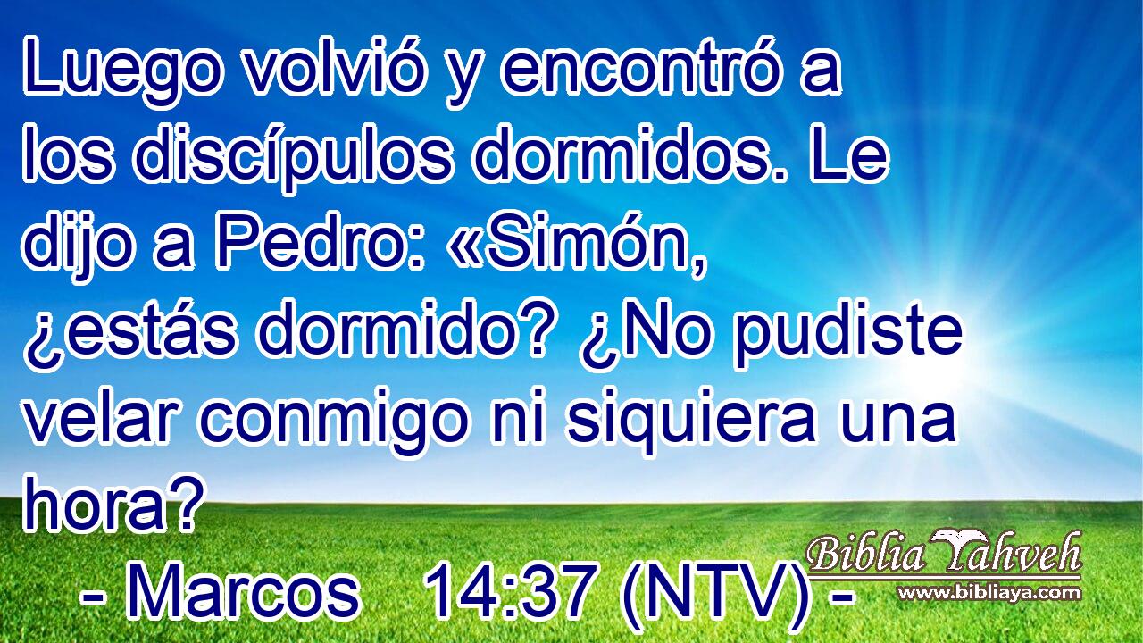 Luego volvió y encontró a los discípulos dormidos. Le dijo a Pedro: «Simón, ¿estás dormido? ¿No pudiste velar conmigo ni siquiera una hora?