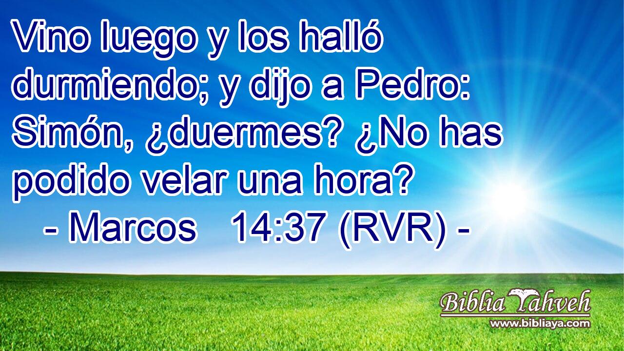 Vino luego y los halló durmiendo; y dijo a Pedro: Simón, ¿duermes? ¿No has podido velar una hora?