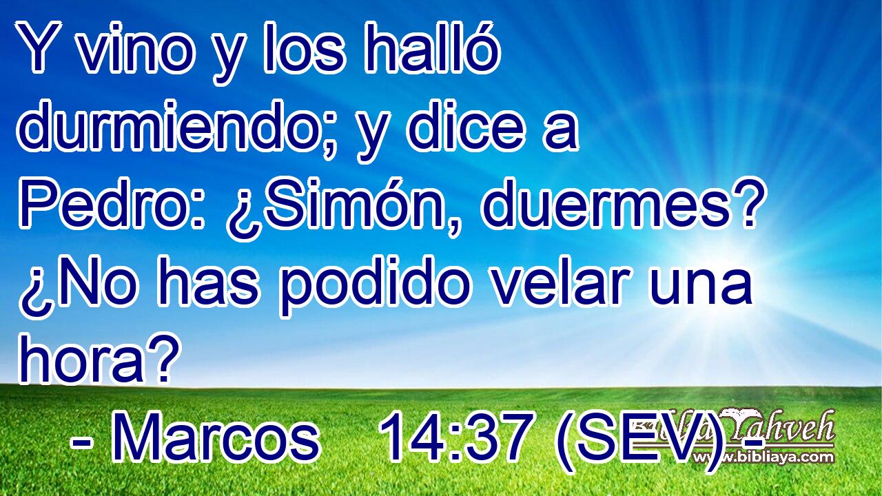 Y vino y los halló durmiendo; y dice a Pedro: ¿Simón, duermes? ¿No has podido velar una hora?