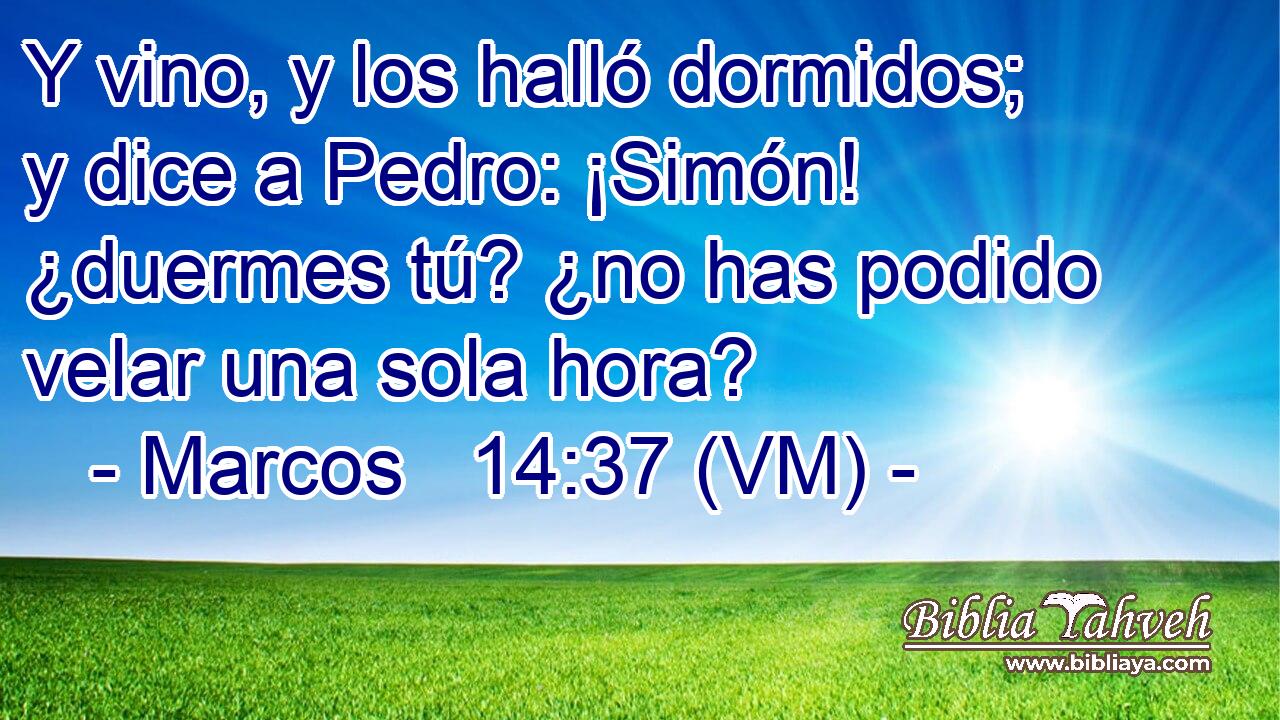  Y vino, y los halló dormidos; y dice a Pedro: ¡Simón! ¿duermes tú? ¿no has podido velar una sola hora? 