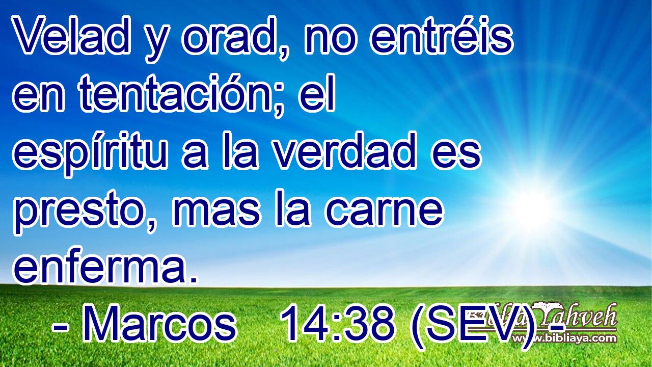 Velad y orad, no entréis en tentación; el espíritu a la verdad es presto, mas la carne enferma.