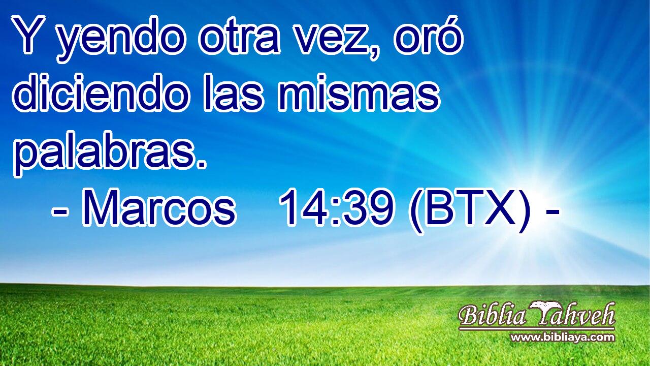Y yendo otra vez, oró diciendo las mismas palabras.