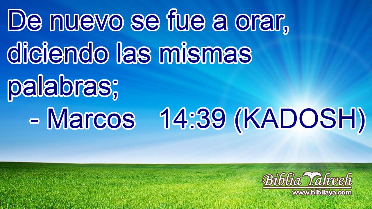 De nuevo se fue a orar, diciendo las mismas palabras; 