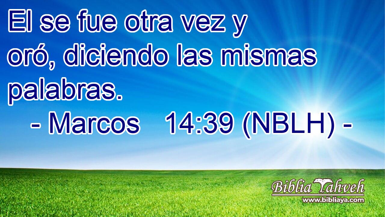  El se fue otra vez y oró, diciendo las mismas palabras. 