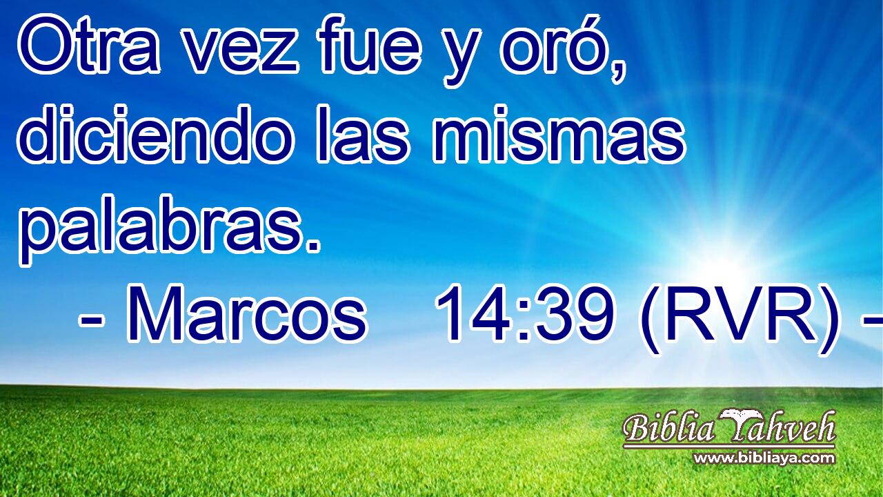 Otra vez fue y oró, diciendo las mismas palabras.