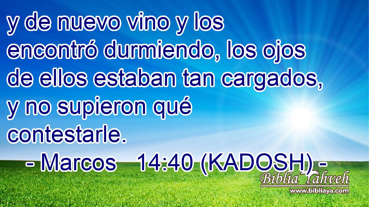  y de nuevo vino y los encontró durmiendo, los ojos de ellos estaban tan cargados, y no supieron qué contestarle. 