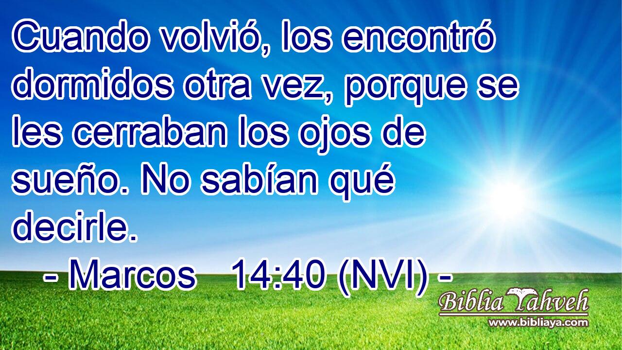  Cuando volvió, los encontró dormidos otra vez, porque se les cerraban los ojos de sueño. No sabían qué decirle. 