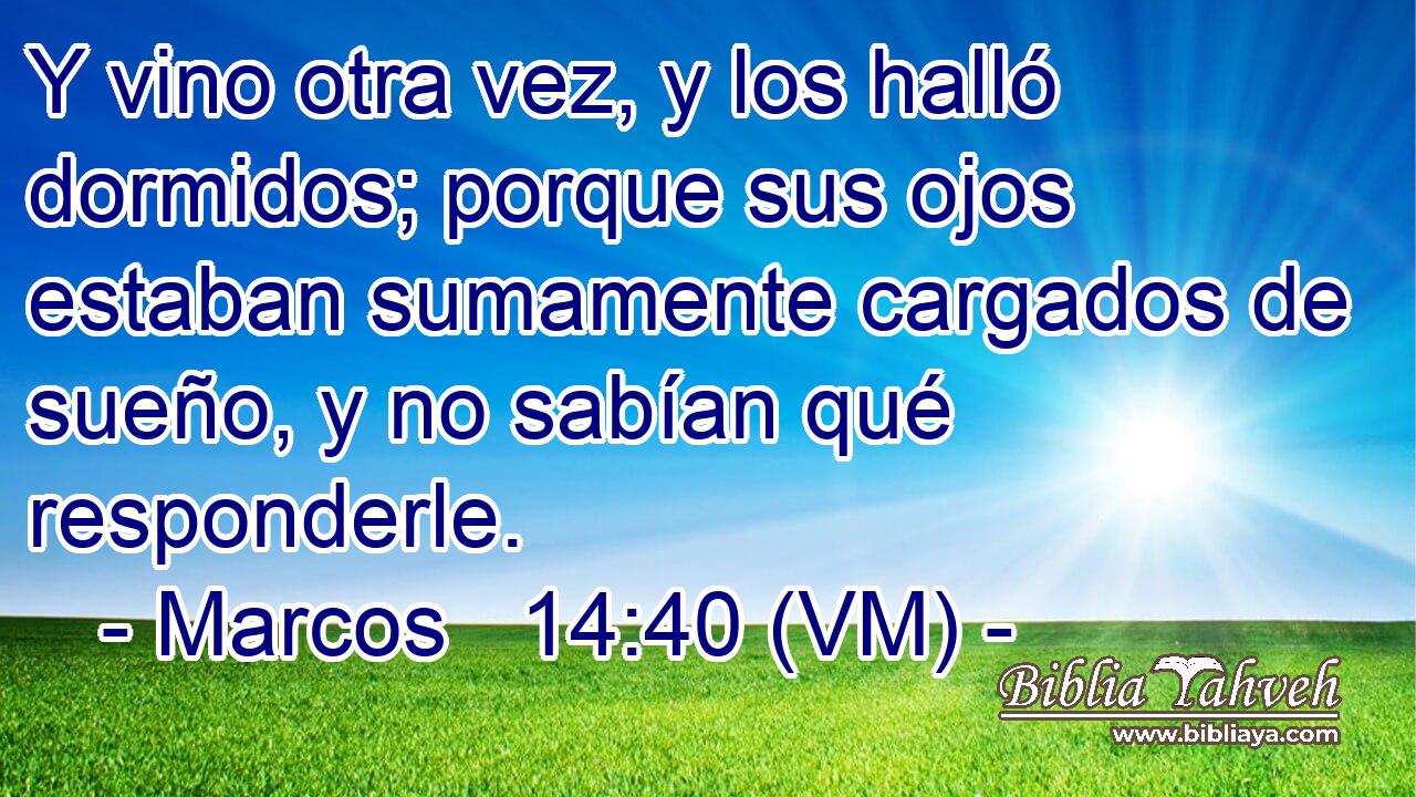  Y vino otra vez, y los halló dormidos; porque sus ojos estaban sumamente cargados de sueño, y no sabían qué responderle. 