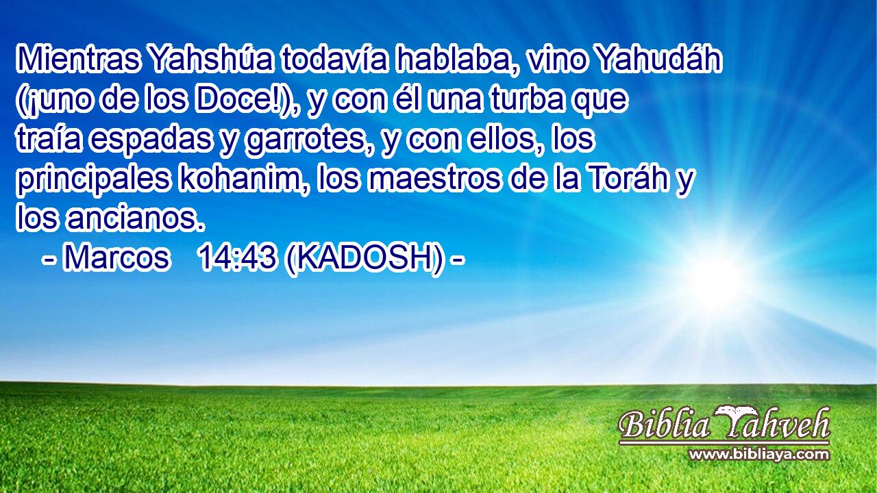  Mientras Yahshúa todavía hablaba, vino Yahudáh (¡uno de los Doce!), y con él una turba que traía espadas y garrotes, y con ellos, los principales kohanim, los maestros de la Toráh y los ancianos. 