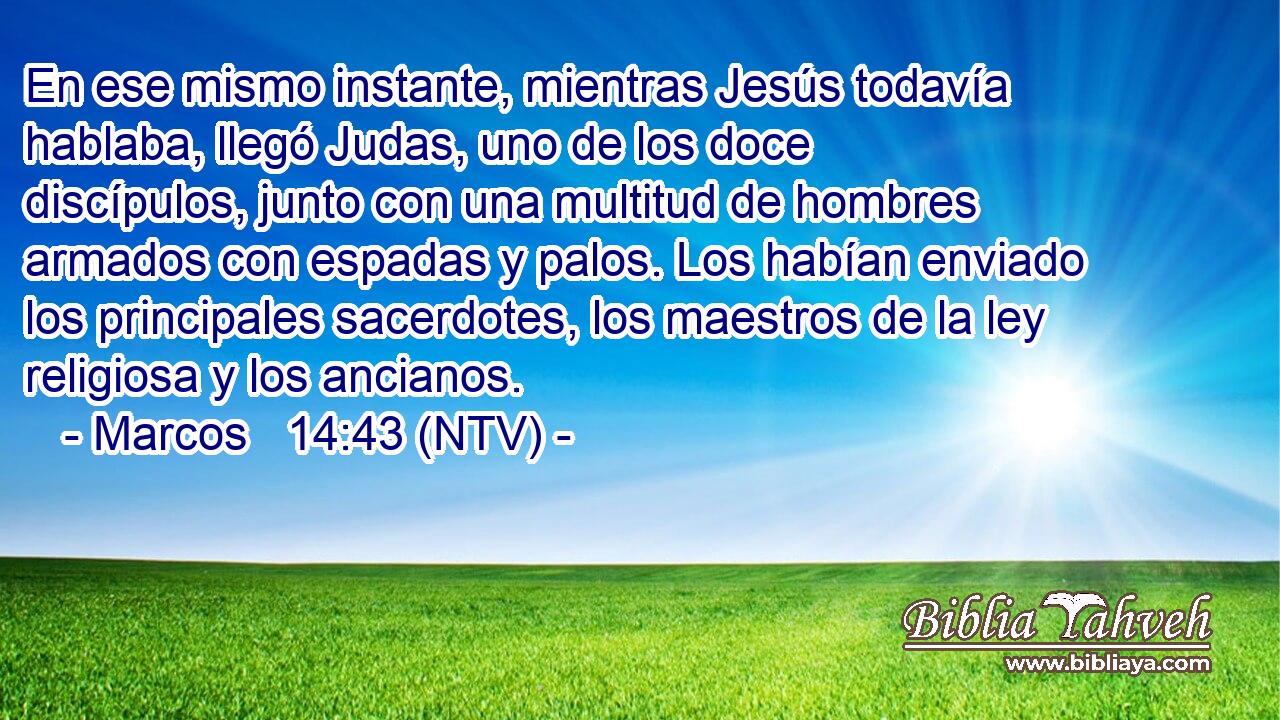 En ese mismo instante, mientras Jesús todavía hablaba, llegó Judas, uno de los doce discípulos, junto con una multitud de hombres armados con espadas y palos. Los habían enviado los principales sacerdotes, los maestros de la ley religiosa y los ancianos.