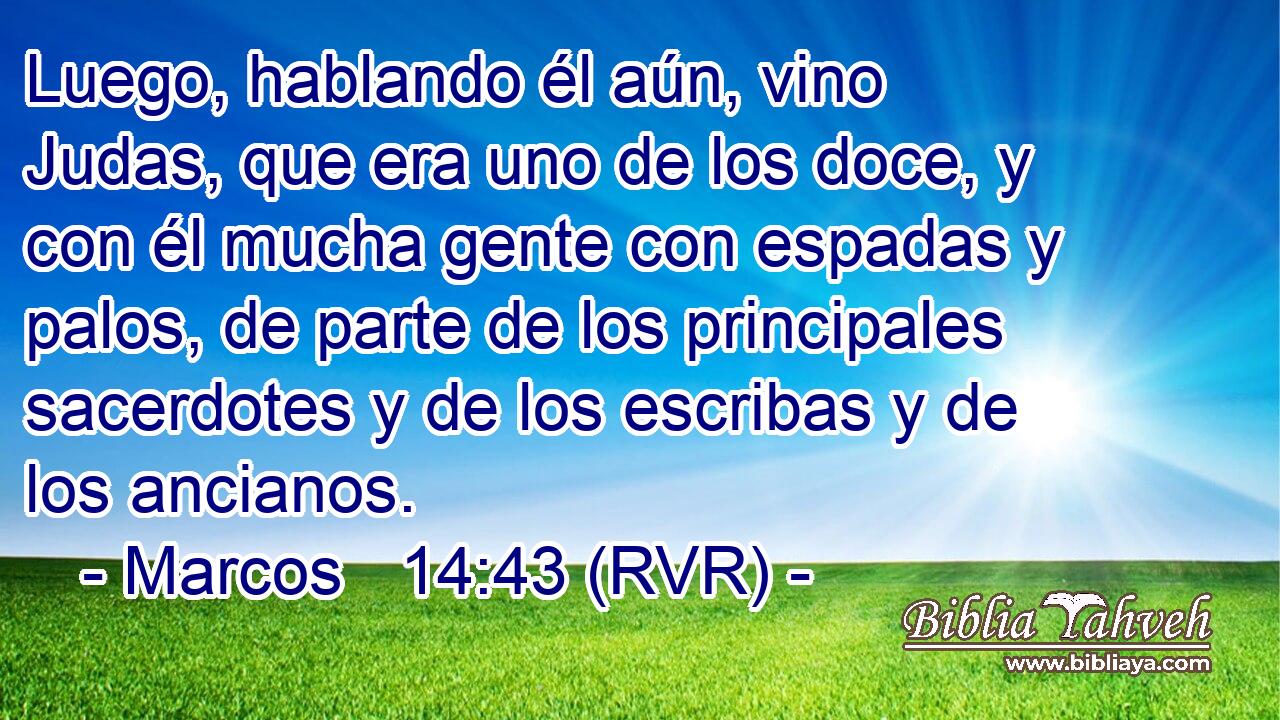 Luego, hablando él aún, vino Judas, que era uno de los doce, y con él mucha gente con espadas y palos, de parte de los principales sacerdotes y de los escribas y de los ancianos.