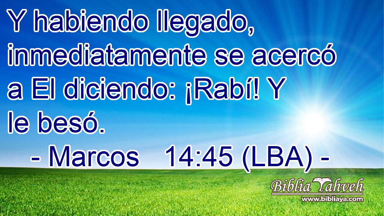 Y habiendo llegado, inmediatamente se acercó a El diciendo: ¡Rabí! Y le besó.
