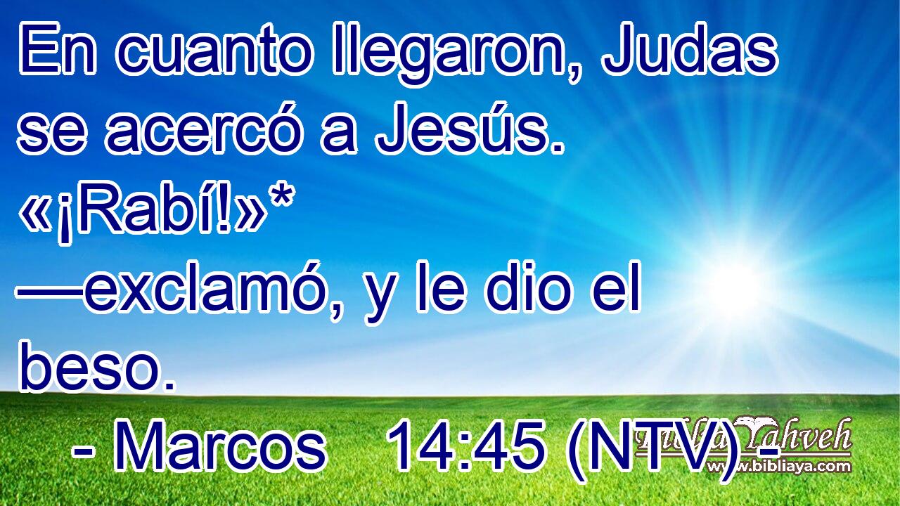 En cuanto llegaron, Judas se acercó a Jesús. «¡Rabí!»* —exclamó, y le dio el beso.
