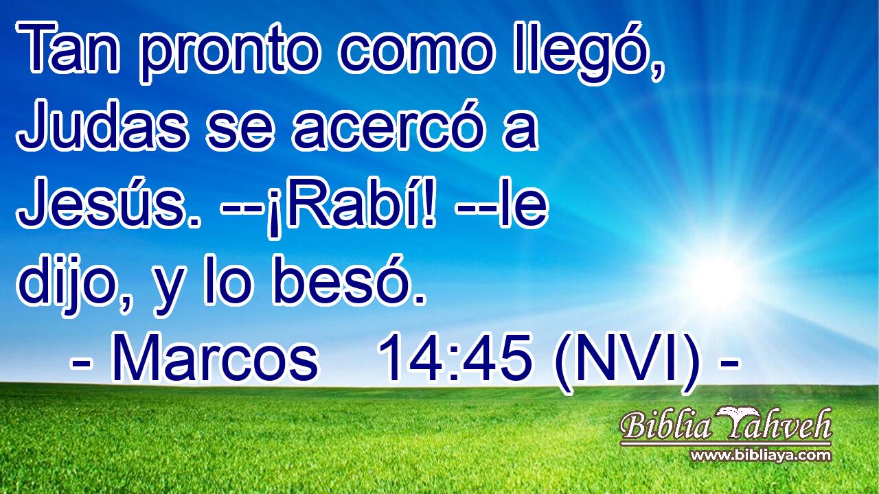  Tan pronto como llegó, Judas se acercó a Jesús. --¡Rabí! --le dijo, y lo besó. 