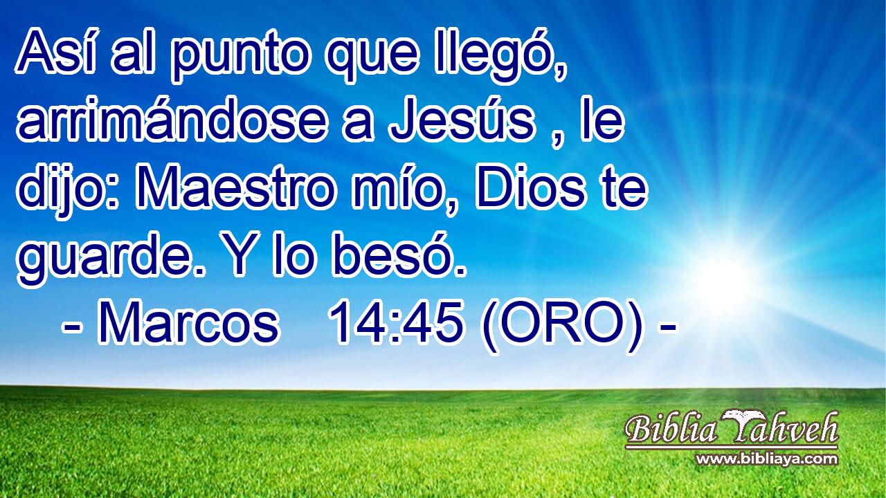  Así al punto que llegó, arrimándose a Jesús , le dijo: Maestro mío, Dios te guarde. Y lo besó. 