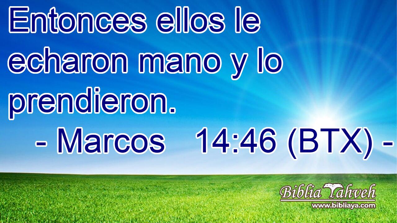 Entonces ellos le echaron mano y lo prendieron.